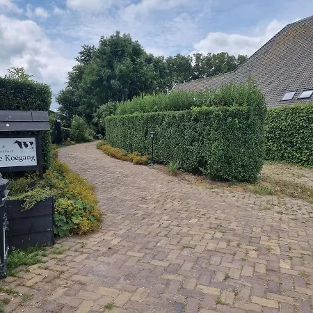 De Koegang Zuidermeer