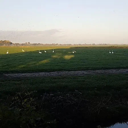 De Koegang Zuidermeer