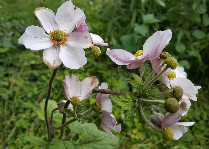 De Koegang Bed & Breakfast