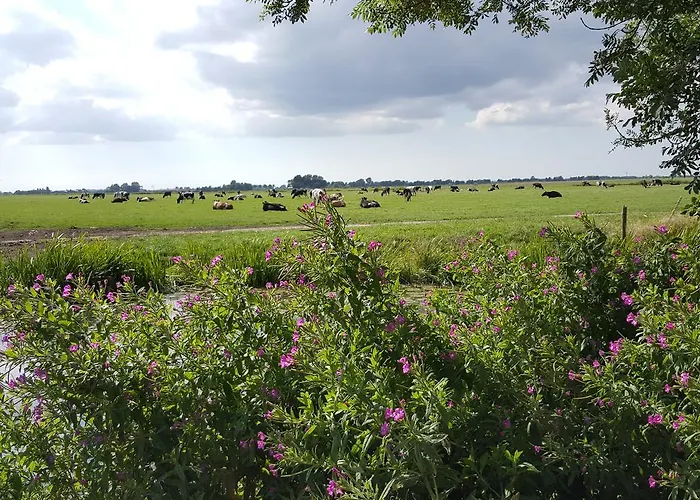 De Koegang Bed & Breakfast