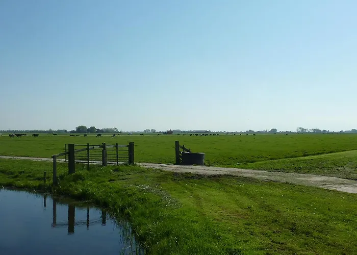 De Koegang Zuidermeer