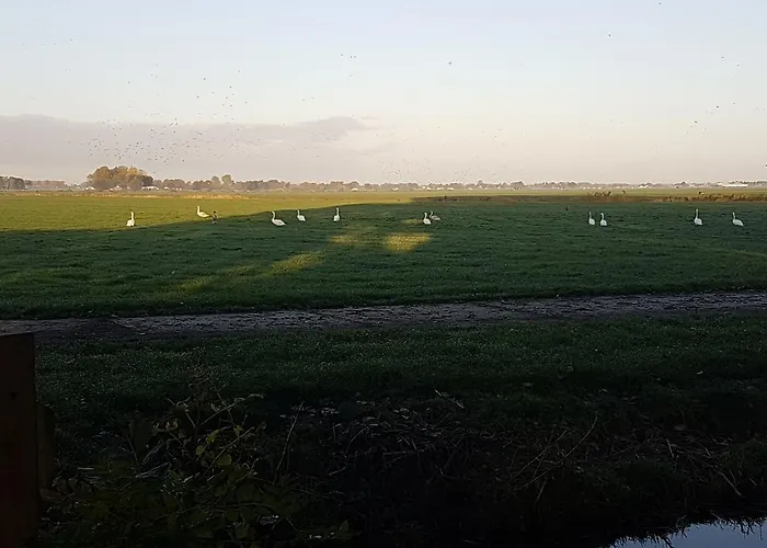 De Koegang Zuidermeer