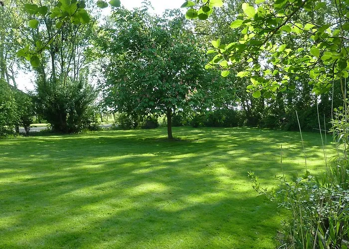 De Koegang Bed & Breakfast Zuidermeer